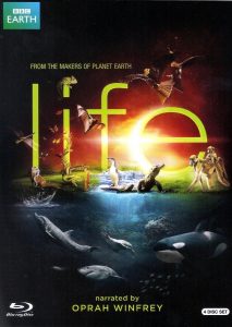 Poster for the movie "Life"