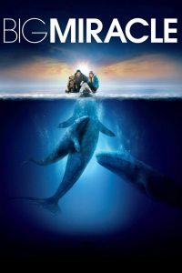 Poster for the movie "Big Miracle"