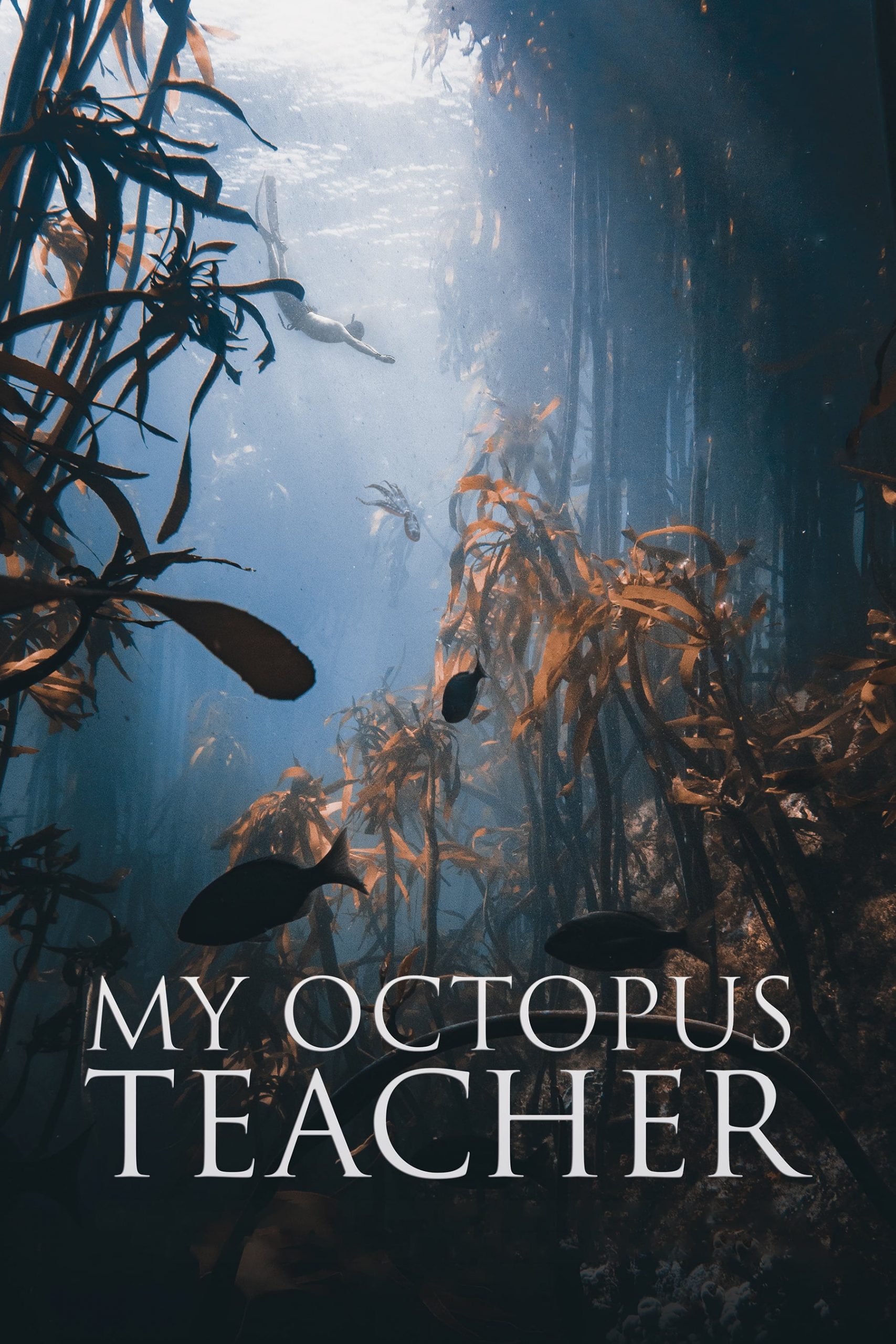 Poster for the movie "My Octopus Teacher"